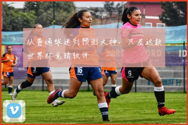 从普通球迷到预测大神,只差这款世界杯竞猜软件