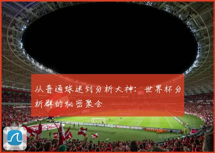 从普通球迷到分析大神:世界杯分析群的秘密聚会