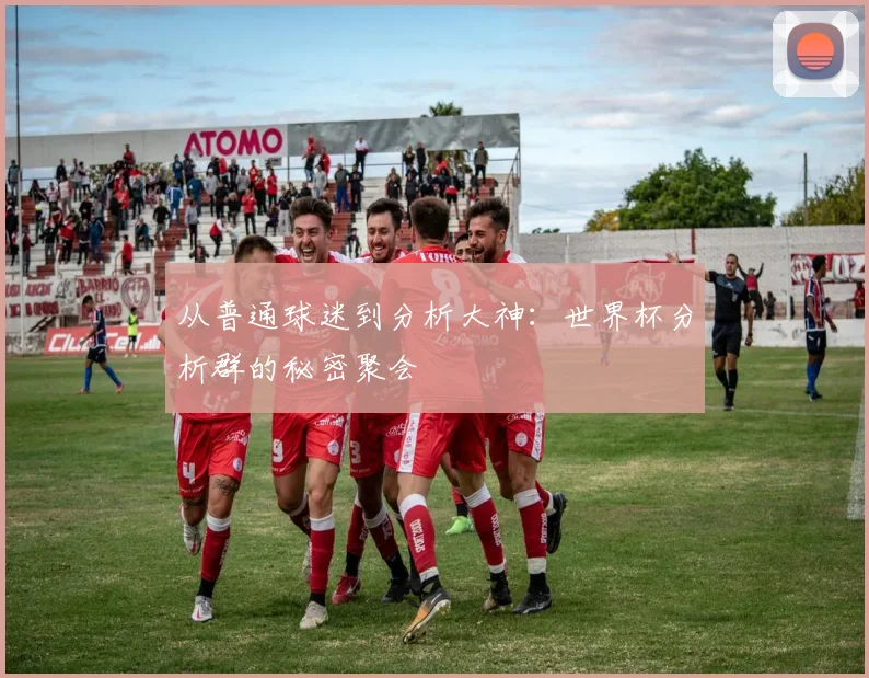从普通球迷到分析大神:世界杯分析群的秘密聚会