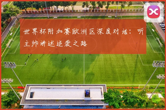 世界杯附加赛欧洲区深度对话：听主帅讲述逆袭之路