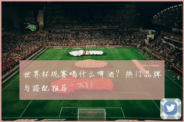 世界杯观赛喝什么啤酒？热门品牌与搭配推荐