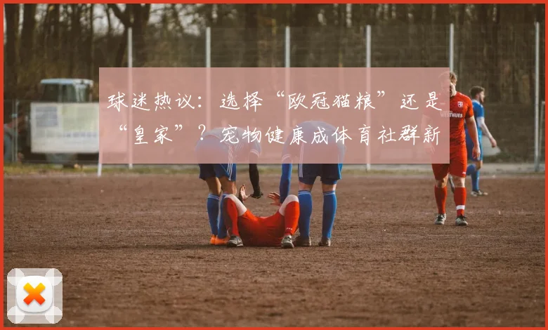 球迷热议：选择“欧冠猫粮”还是“皇家”？宠物健康成体育社群新焦点