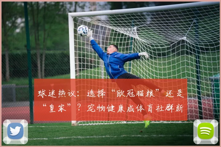 球迷热议:选择“欧冠猫粮”还是“皇家”?宠物健康成体育社群新焦点