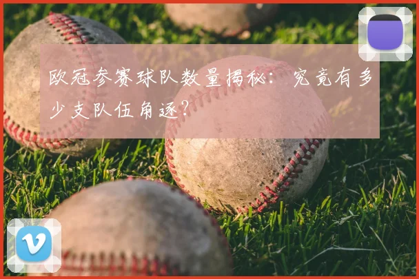 欧冠参赛球队数量揭秘：究竟有多少支队伍角逐？
