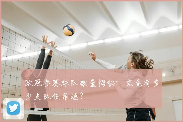 欧冠参赛球队数量揭秘：究竟有多少支队伍角逐？